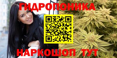 винт Дубна
