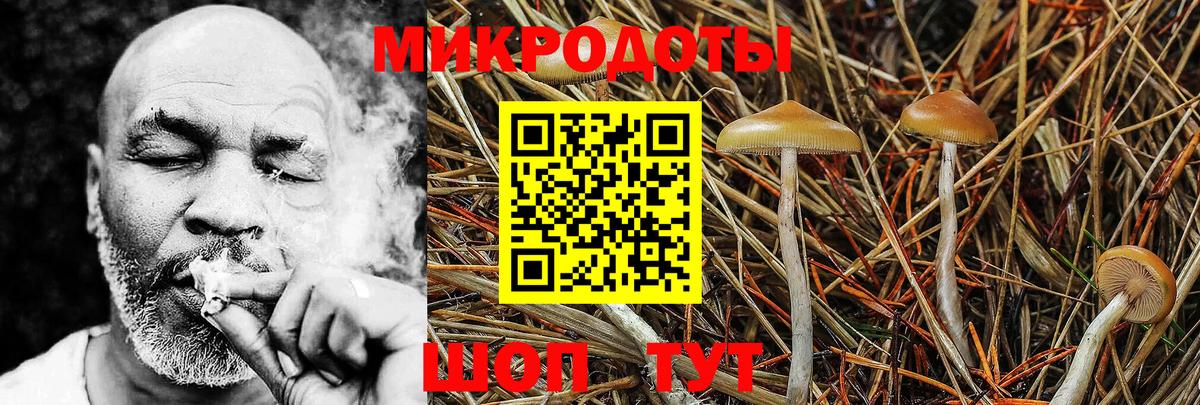Галлюциногенные грибы прущие грибы  Вход с VPN  Ливны 